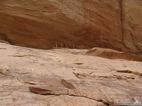 Junction Ruin in Grand Gulch.