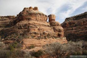 View from Junction Ruin in Grand Gulch.