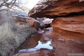 Hiking up Kane Gulch.