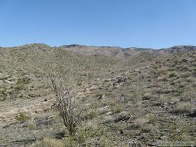 Looking up into the Harcuvar Mountains.
