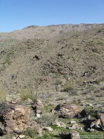 Looking up into the Harcuvar Mountains.