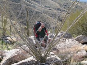 Jerry taking a break from the climb.