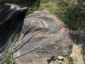A cool metamorphic rock..