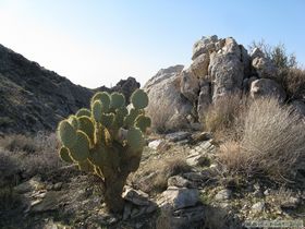 Just one of the neat scenes we encountered on the way up.