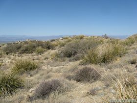 Hiking along the spine of the Harcuvars.