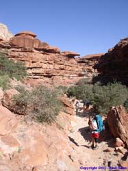 Janet and Marisa head down the trail.