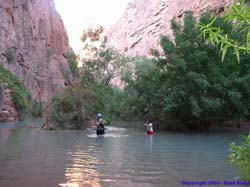 Shannon and Janet wade across Havasu Creek