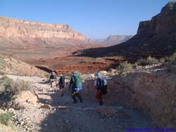 View down the canyon to Havasupai.