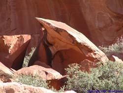 A large hunk of sandstone that has fallen off the cliffs above has been sculpted by the wash.