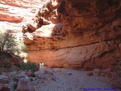 The high cliff walls guides the wash around a wide bend.