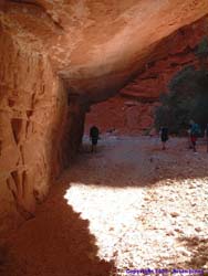 Hiking under the cliff.  The wash has severely undercut this cliff.