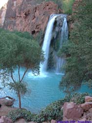 Havasu Falls.