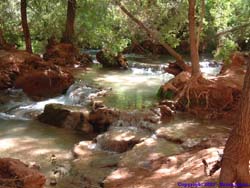 A neat area with some camp sites right along the creek.