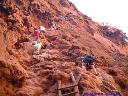 Looking up at the train of people climbing down to the base of Mooney Falls.