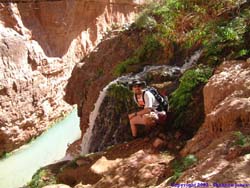 Brian enjoying a pretty little creek spilling over the cliff into Havasu Creek