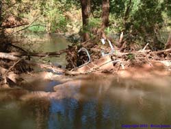 This picnic table survived the flood (sort of) but I doubt it will ever get used again.