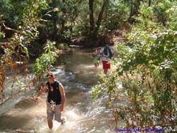 Jeff, Brad and Lori wade across Havasu Creek.