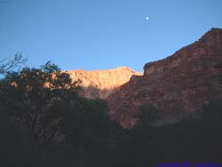 Moonset at sunrise.