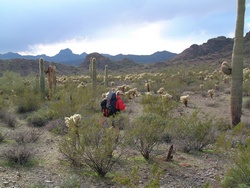 Jeff crossing the desert.