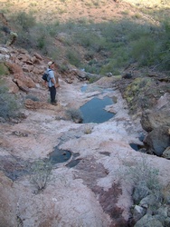 Jeff at an un-named spring on the eastern flank of Sugarloaf Peak.