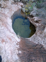  An un-named spring on the eastern flank of Sugarloaf Peak.