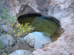  An un-named spring on the eastern flank of Sugarloaf Peak.