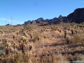 The western flank of the Kofa Mountains.