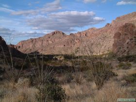 Looking north down Tunnel Springs Canyon.