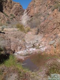 A spring fed pool.