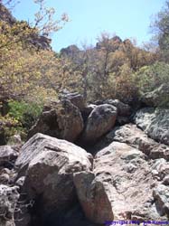 Boulders and thickets were just two of the obstacles that hindered our path