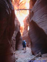 Shannon walks under a log wedged between the canyon walls by past flooding.