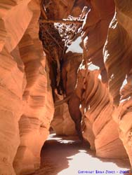 A debris jam created by flooding in Buckskin Gulch