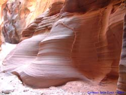 Just one of the countless amazing sandstone forms we found.