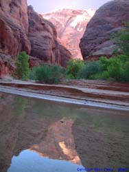 Paria Canyon near the camp at Paria mile 14.