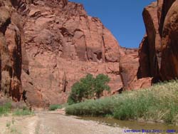 Along the Paria River.