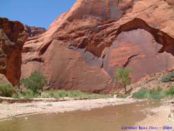 One of many interesting canyon walls along the Paria River.