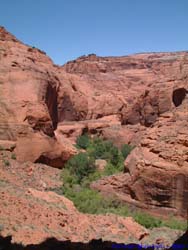 The view from Wrather Arch looking down Wrather Canyon.