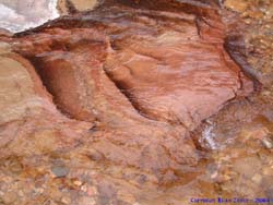 The Paria River plays on the sandstone.