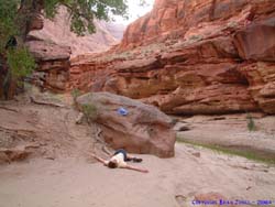 Shannon does Paria Canyon Yoga.