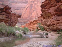 Looking up canyon from camp.