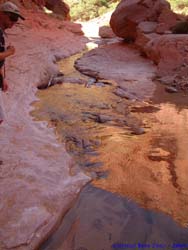 The Paria River flows over sandstone.