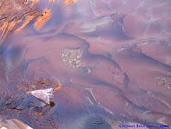 This photograph almost does justice to the amazing form and color of some sections of the sandstone river bed.