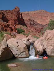 Jeff joins Shannon in the refreshing pool.