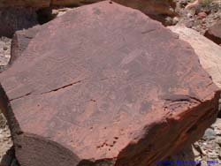 Petroglyphs on a fallen boulder.