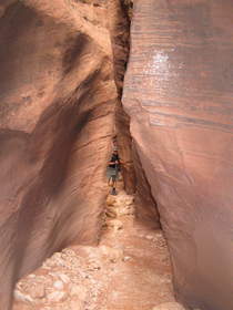 Chuck hiking down Wire Pass.