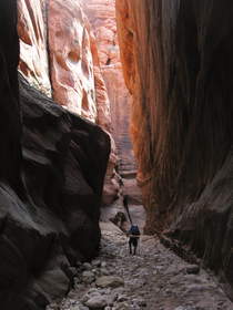 Chuck hiking in Buckskin Gulch.