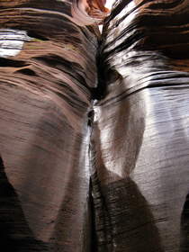 A small spring in Buckskin Gulch.