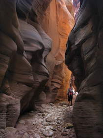 Steve hiking in Buckskin Gulch.