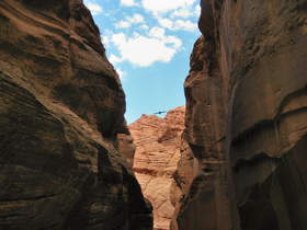 A raven in Buckskin Gulch.