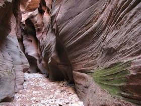 Buckskin Gulch.